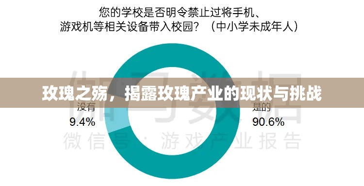 玫瑰之殤，揭露玫瑰產(chǎn)業(yè)的現(xiàn)狀與挑戰(zhàn)