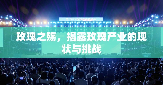 玫瑰之殤，揭露玫瑰產(chǎn)業(yè)的現(xiàn)狀與挑戰(zhàn)