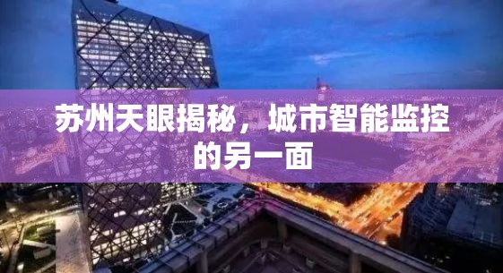 蘇州天眼揭秘，城市智能監(jiān)控的另一面