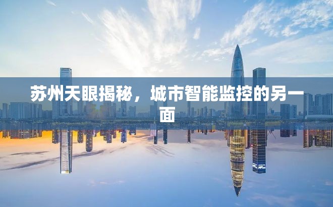 蘇州天眼揭秘，城市智能監(jiān)控的另一面