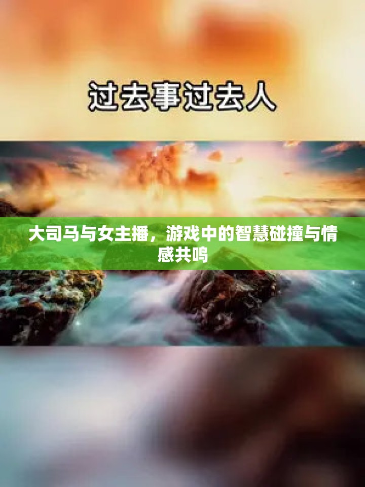 大司馬與女主播，游戲中的智慧碰撞與情感共鳴