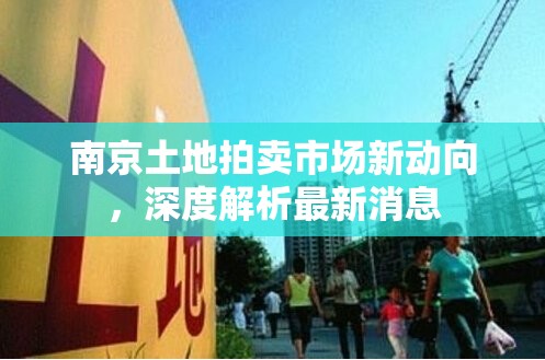南京土地拍賣市場新動向，深度解析最新消息