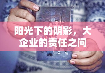 陽(yáng)光下的陰影，大企業(yè)的責(zé)任之問(wèn)