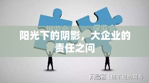 陽(yáng)光下的陰影，大企業(yè)的責(zé)任之問(wèn)