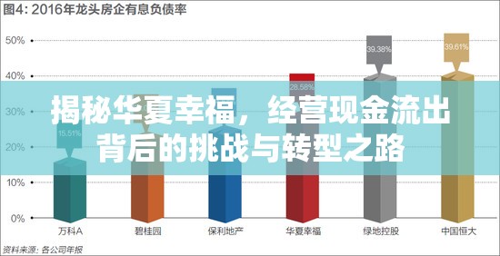 揭秘華夏幸福，經(jīng)營(yíng)現(xiàn)金流出背后的挑戰(zhàn)與轉(zhuǎn)型之路