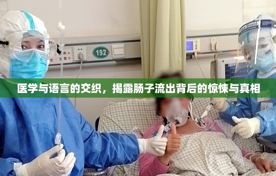 醫(yī)學(xué)與語(yǔ)言的交織，揭露腸子流出背后的驚悚與真相