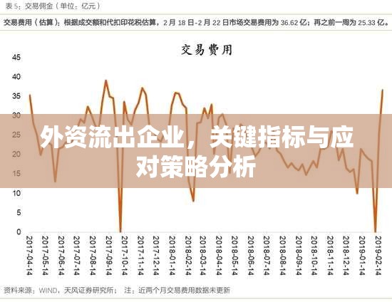 外資流出企業(yè)，關(guān)鍵指標與應(yīng)對策略分析