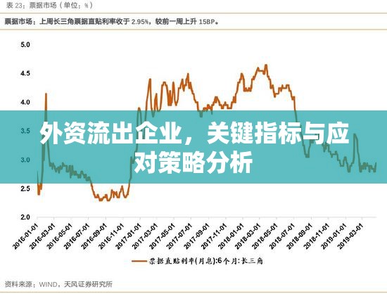 外資流出企業(yè)，關(guān)鍵指標與應(yīng)對策略分析