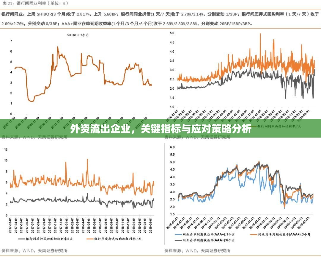 外資流出企業(yè)，關(guān)鍵指標與應(yīng)對策略分析