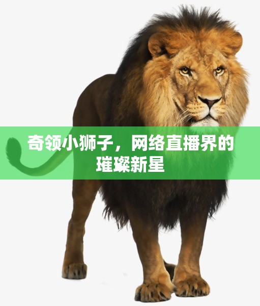 奇領(lǐng)小獅子，網(wǎng)絡(luò)直播界的璀璨新星