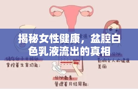 揭秘女性健康，盆腔白色乳液流出的真相