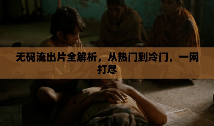 無碼流出片全解析，從熱門到冷門，一網(wǎng)打盡