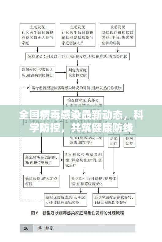 全國(guó)病毒感染最新動(dòng)態(tài)，科學(xué)防控，共筑健康防線