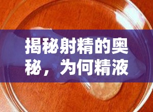 揭秘射精的奧秘，為何精液是流出來的？