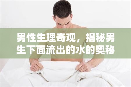 男性生理奇觀，揭秘男生下面流出的水的奧秘