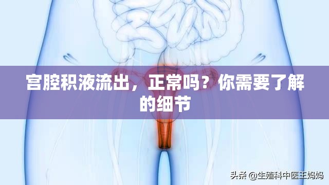 宮腔積液流出，正常嗎？你需要了解的細(xì)節(jié)