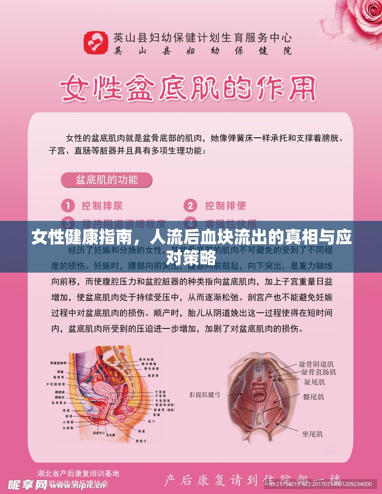 女性健康指南，人流后血塊流出的真相與應對策略