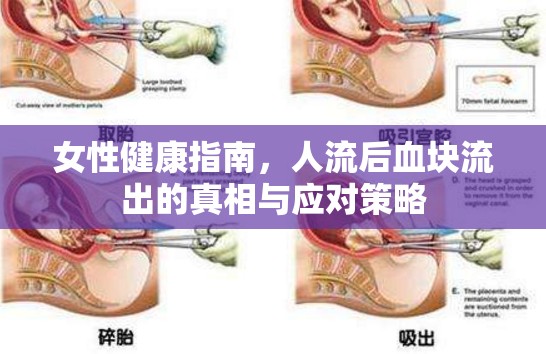 女性健康指南，人流后血塊流出的真相與應對策略