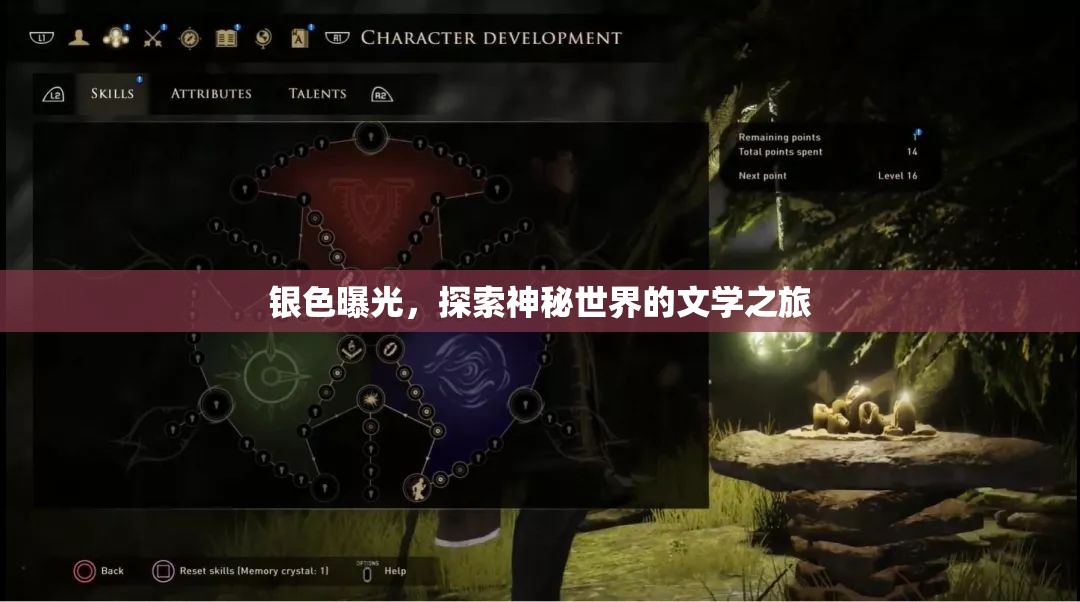 銀色曝光，探索神秘世界的文學(xué)之旅