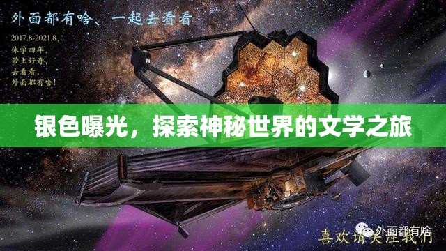 銀色曝光，探索神秘世界的文學(xué)之旅