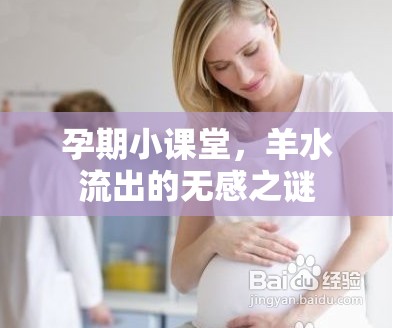 孕期小課堂，羊水流出的無感之謎