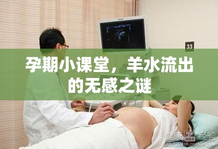 孕期小課堂，羊水流出的無感之謎