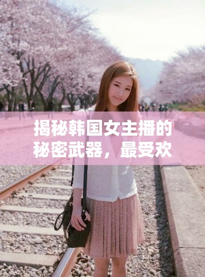 揭秘韓國女主播的秘密武器，最受歡迎的錄屏軟件