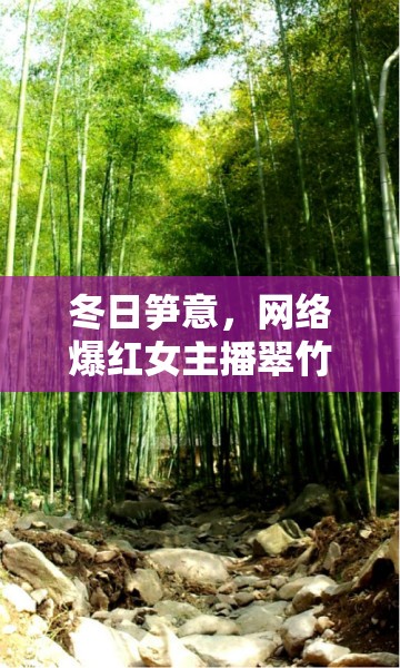 冬日筍意，網(wǎng)絡(luò)爆紅女主播翠竹下的溫柔力量