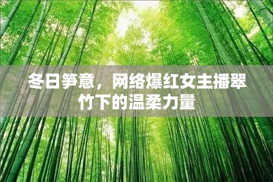 冬日筍意，網(wǎng)絡(luò)爆紅女主播翠竹下的溫柔力量