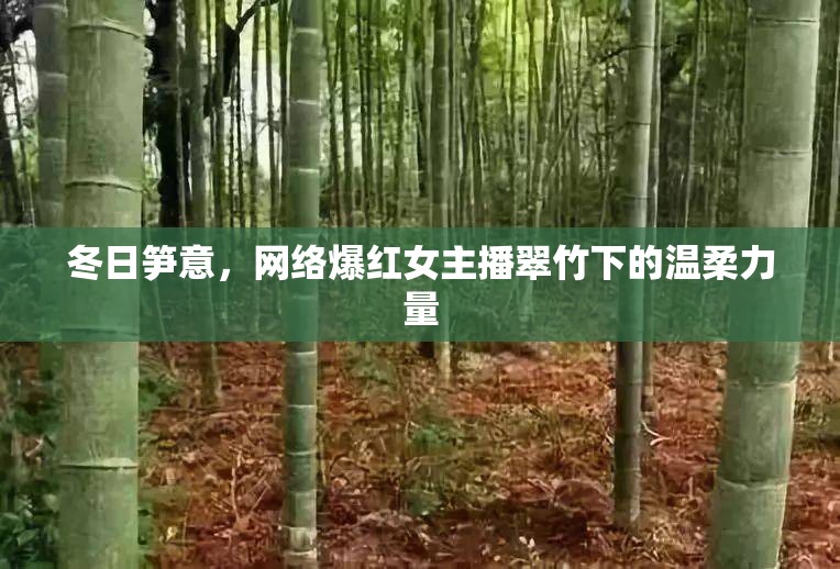 冬日筍意，網(wǎng)絡(luò)爆紅女主播翠竹下的溫柔力量