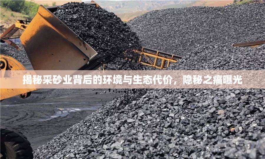 揭秘采砂業(yè)背后的環(huán)境與生態(tài)代價，隱秘之痛曝光