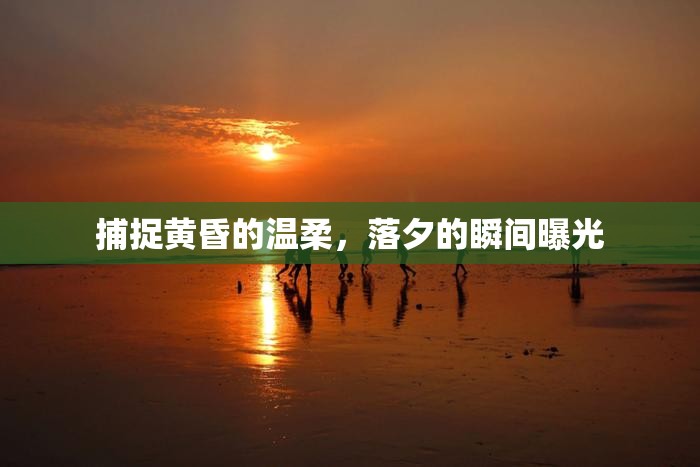 捕捉黃昏的溫柔，落夕的瞬間曝光