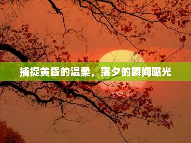 捕捉黃昏的溫柔，落夕的瞬間曝光