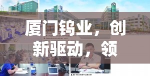 廈門鎢業(yè)，創(chuàng)新驅(qū)動(dòng)，領(lǐng)航新材料科技新紀(jì)元