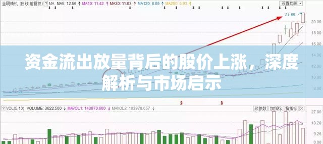 資金流出放量背后的股價(jià)上漲，深度解析與市場(chǎng)啟示