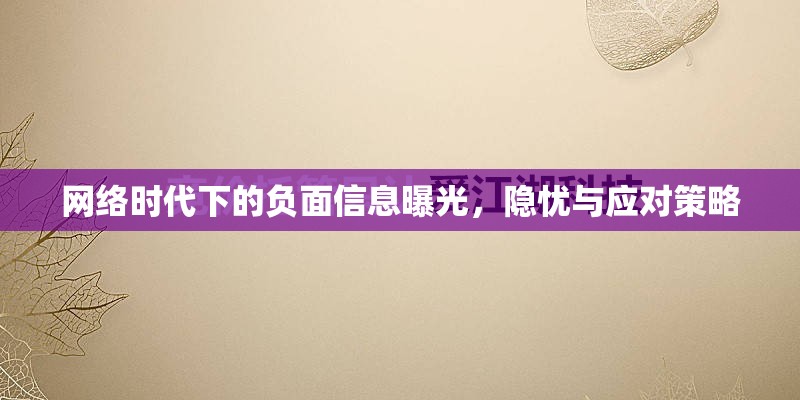 網(wǎng)絡(luò)時(shí)代下的負(fù)面信息曝光，隱憂與應(yīng)對(duì)策略