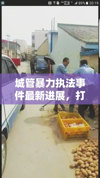 城管暴力執(zhí)法事件最新進展，打人視頻引發(fā)熱議