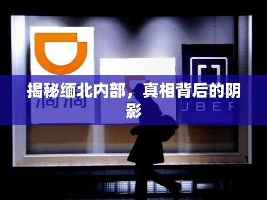 揭秘緬北內(nèi)部，真相背后的陰影