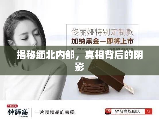 揭秘緬北內(nèi)部，真相背后的陰影
