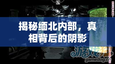 揭秘緬北內(nèi)部，真相背后的陰影
