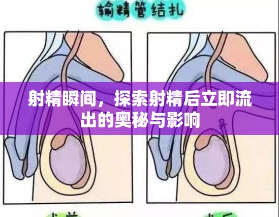 射精瞬間，探索射精后立即流出的奧秘與影響