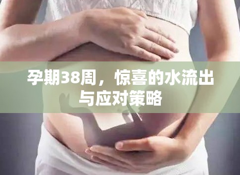 孕期38周，驚喜的水流出與應(yīng)對策略