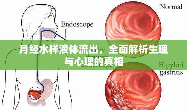 月經(jīng)水樣液體流出，全面解析生理與心理的真相
