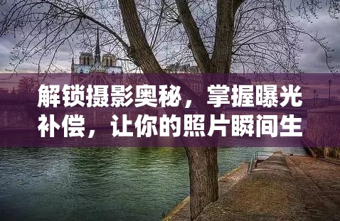 解鎖攝影奧秘，掌握曝光補(bǔ)償，讓你的照片瞬間生動(dòng)起來(lái)