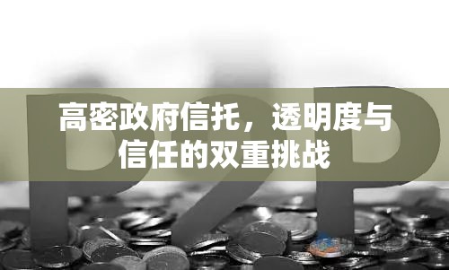 高密政府信托，透明度與信任的雙重挑戰(zhàn)