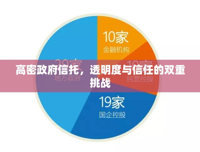 高密政府信托，透明度與信任的雙重挑戰(zhàn)
