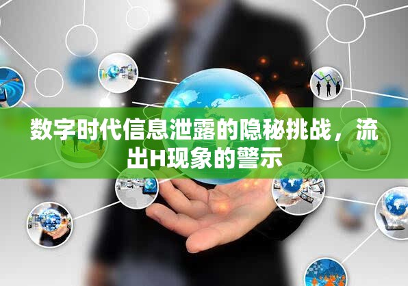 數(shù)字時(shí)代信息泄露的隱秘挑戰(zhàn)，流出H現(xiàn)象的警示