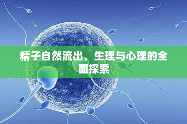 精子自然流出，生理與心理的全面探索