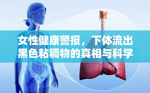 女性健康警報，下體流出黑色粘稠物的真相與科學應對策略