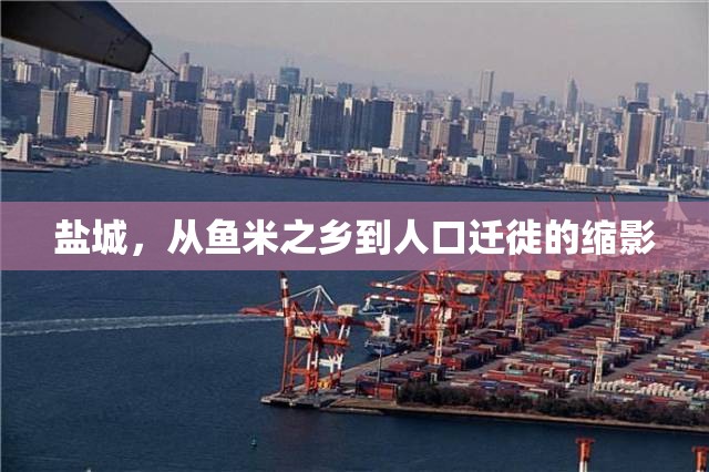 鹽城，從魚米之鄉(xiāng)到人口遷徙的縮影
